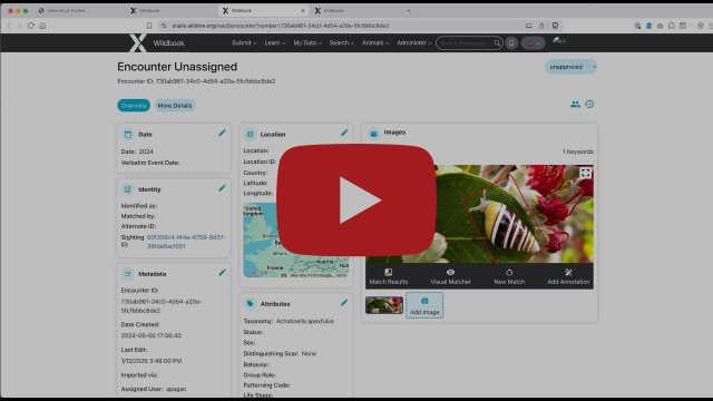 Wildbook 10.9 and the New Encounter Page