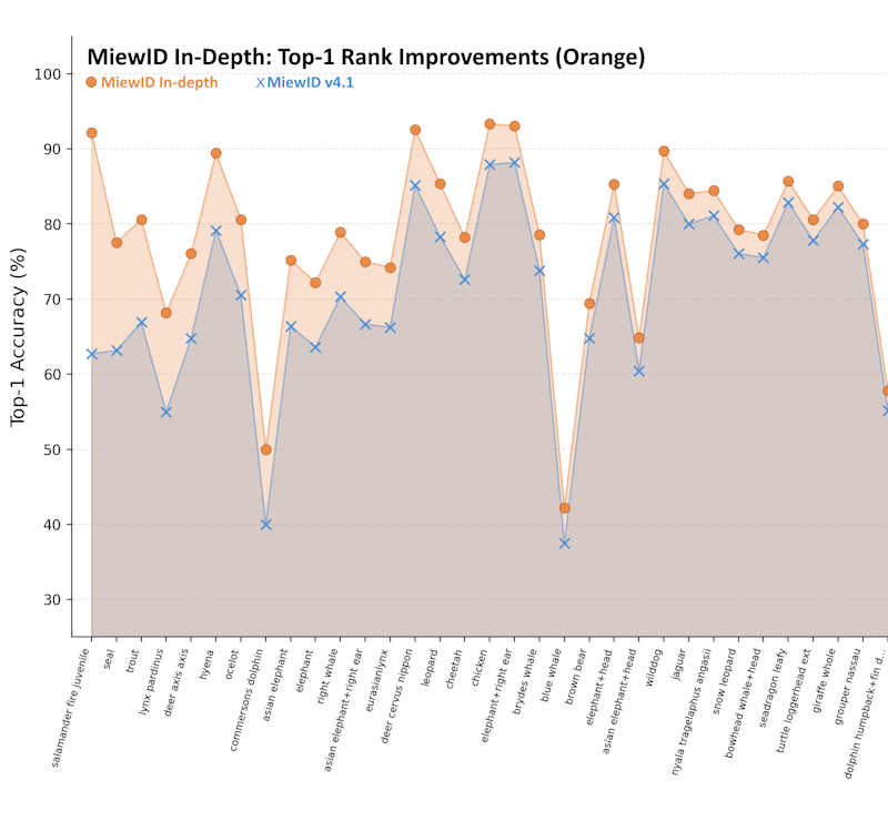 MiewID In-depth newsletter: chart of accuracy gains by species