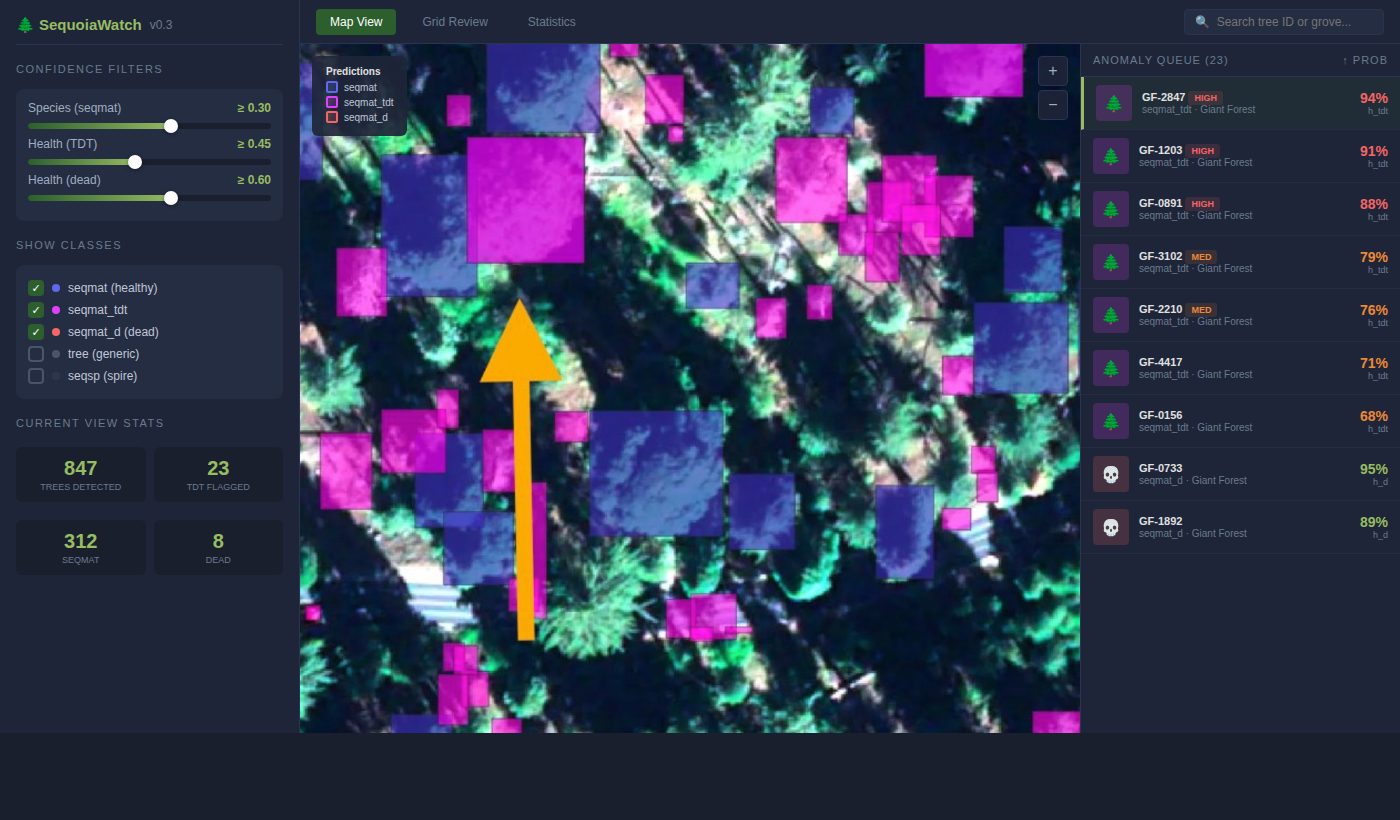 Prototype survey interface showing satellite imagery with color-coded tree detections and a ranked anomaly list