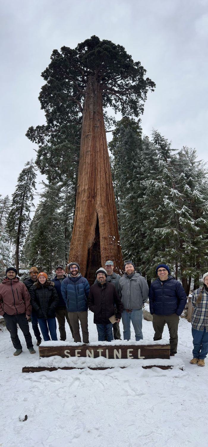 The project team standing at the base of the Sentinel Tree in snow